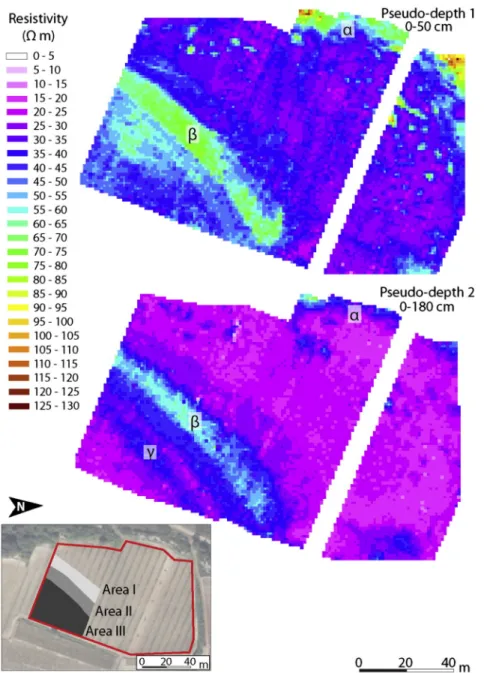 Fig. 2.Soil apparent resistivity maps for pseudo-depth 1 (0–50 cm) and pseudo-depth 2 (0–180 cm)