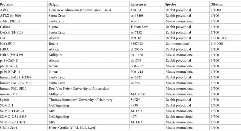 Table 4. Antibodies used in immunofluorescence (1) .