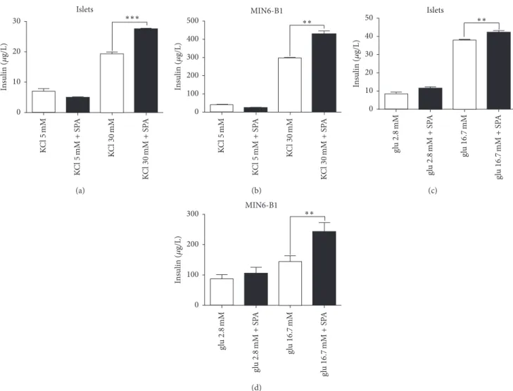 Figure 2: Effects of SPA on insulin secretion from isolated islets and MIN6-B1 cells. Mouse islets (a) or MIN6-B1 cells (b) were incubated at 5 mM (Cont) or stimulating concentration of 30 mM KCl in the presence or in the absence of 10 −7 M SPA for 45 min