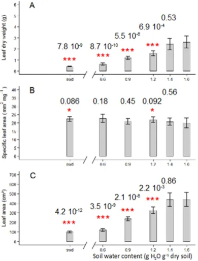 Figure 3. Soil water content response curve of leaf growth-related traits: Leaf dry weight (A), specific  leaf area (B), and leaf area (C) in Wva106 plants grown at five different but stable soil water contents: 