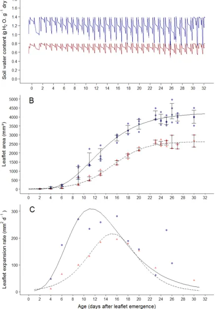 Figure 4. Changes with time in soil water content during experiment B (A) and corresponding  dynamics of leaflet expansion related traits (B, C)