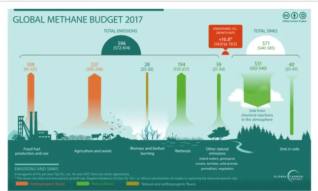 Figure 1. The global methane budget for year 2017 based on top-down methods for natural sources and sinks (green), anthropogenic sources (orange), and mixed natural and anthropogenic sources (hatched orange-green for ‘biomass and biofuel burning’).
