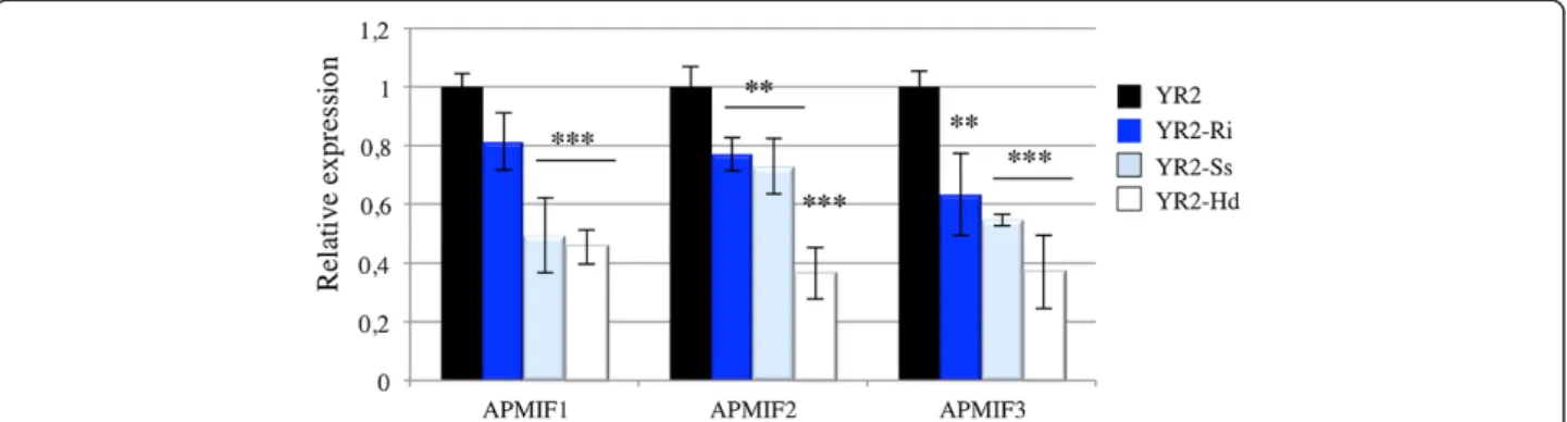 Figure 5 Effect of secondary symbiont injection on ApMIFs expression in LL01 aphids injected with R