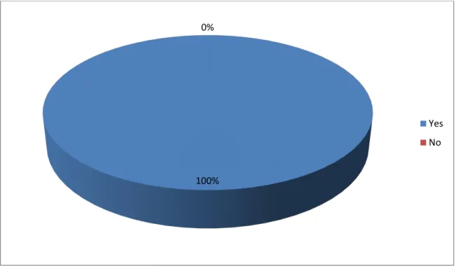 Figure 5:  The importance of Vocabulary in Learning English Language 