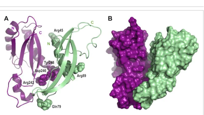 Figure 5 continued