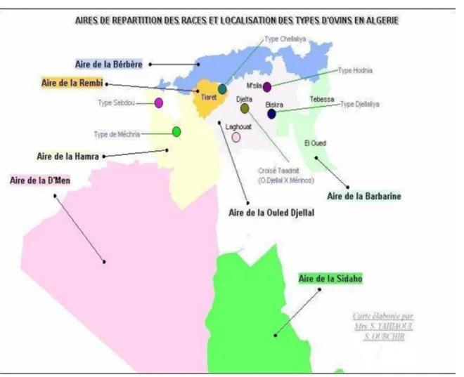 Figure 05 : répartition des races et localisation des types d’ovins en Algérie  (GREDAAL, 2001).