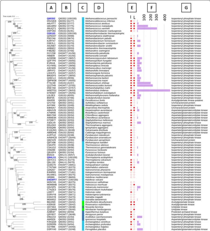 Fig. 1  Phylogenetic tree of 82 cloned IPK candidates from biodiversity compared with IPKs from literature