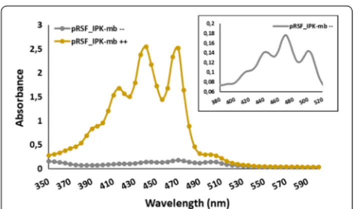 Fig. 3  Comparison of the absorbance spectra obtained from E. coli  BL21 (DE3) transformed with pRSF_IPK‑mb, pACM‑E PAG ‑B PAG  and  pUCM‑I RS  with (++) and without (−−) substrates supplementation