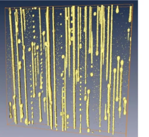 Figure 1 is the volume reconstruction of the core of the optical fibre. The yellow phase represents nanoparticles inside the core of the optical fibre