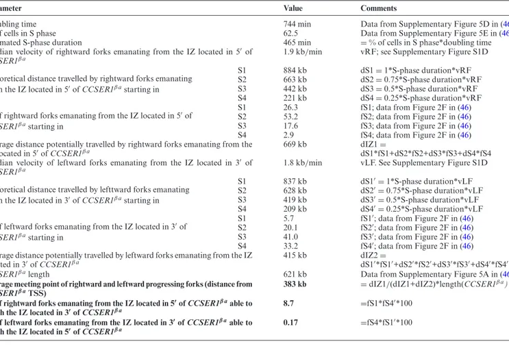 Table 2. Calculation of the average meeting point of rightward and leftward replication forks progressing along CCSER1 β a and of the proportion of rightward (leftward) forks reaching the IZ located in 3  (5  ) of CCSER1 β a 