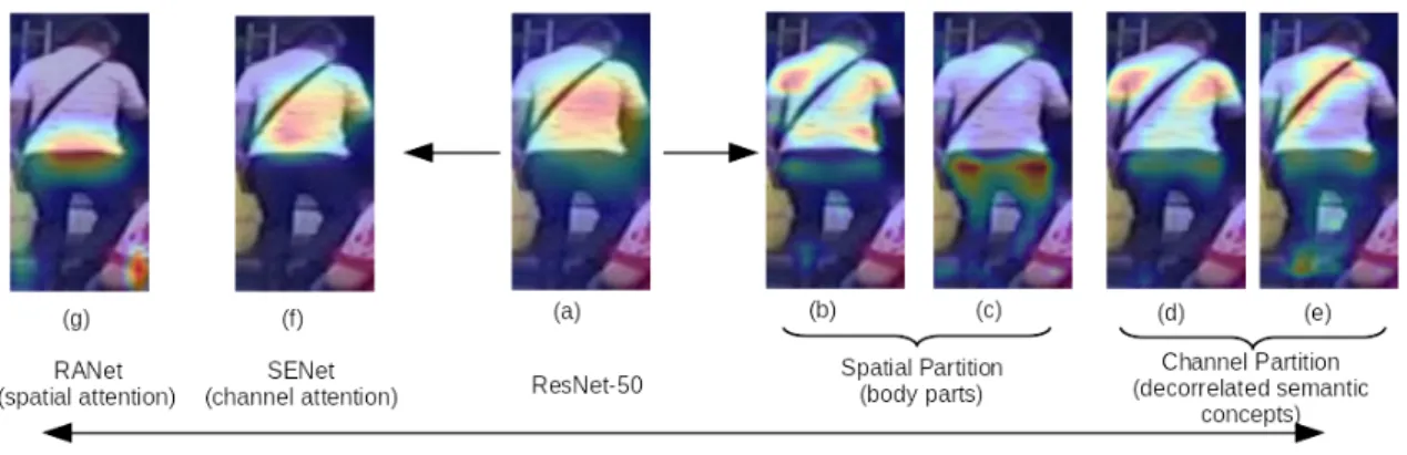 Figure 2. Comparisons of saliency maps generated by Grad-CAM [25] applied on 4 CNN models on Market-1501 test set