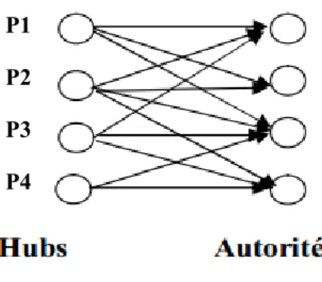 Figure I.1.A.a..3  Graphe représentatif des pages hubs et des pages autorités.