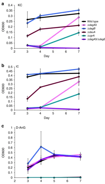 Fig. 6 Average growth of wild-type Z. galactanivorans and deletion mutants.