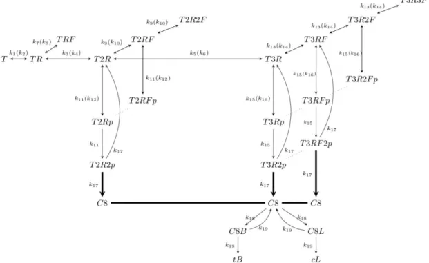 Figure 1.   ARROM schematic with the main reactions describing EAP. Reaction rates of the forward and reverse reactions are indicated outside and inside  brackets, respectively