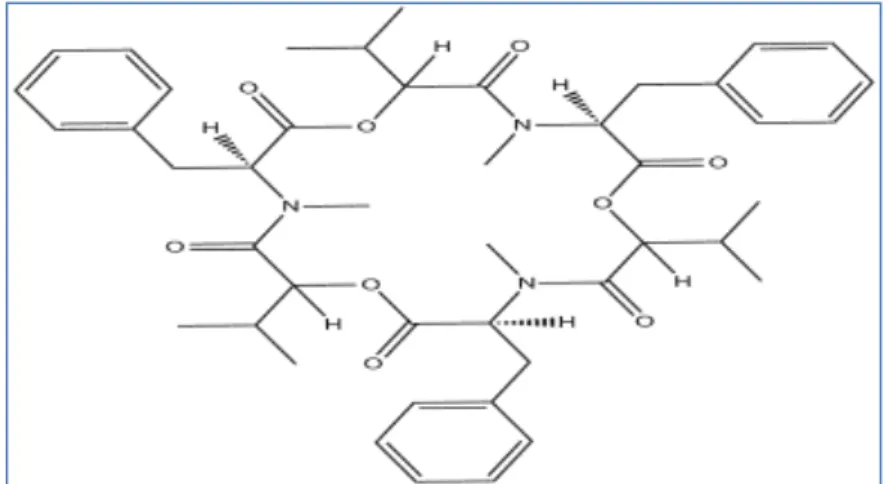 Figure 11: Structure chimique du Beauvericine   IV.1  Activité insecticide du Beauvericine  