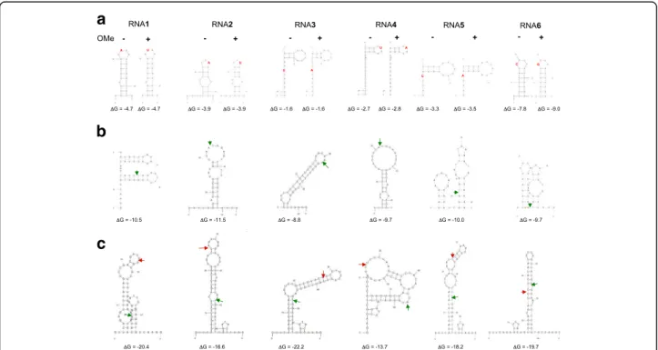 Fig. 1 a Predicted secondary structures of the synthetic sRNAs 1 – 6 used in this study (Methods)