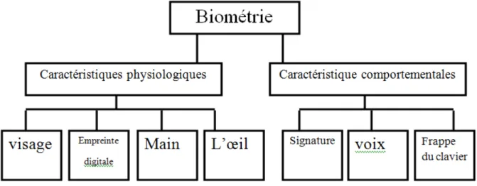Figure I.1. Classification de la biométrie [3] .