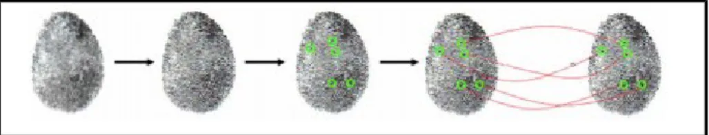 Figure I.5. Le processus de reconnaissance par empreinte digitale [13].