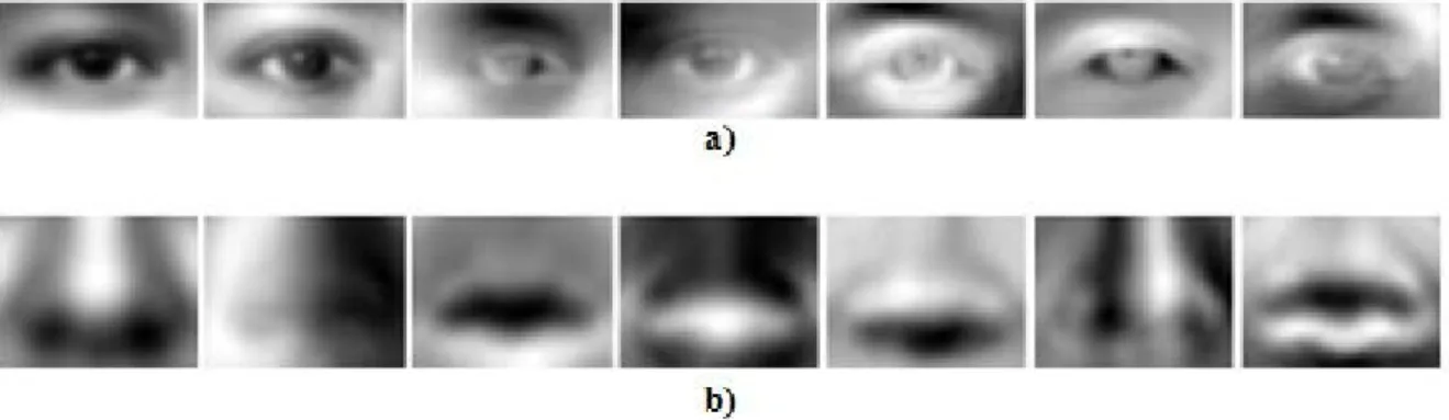 Figure II.3. EigenObjects: Image moyenne ainsi que les 6 premiers vecteurs propres, a) : l’œil gauche et  b) le nez [19].