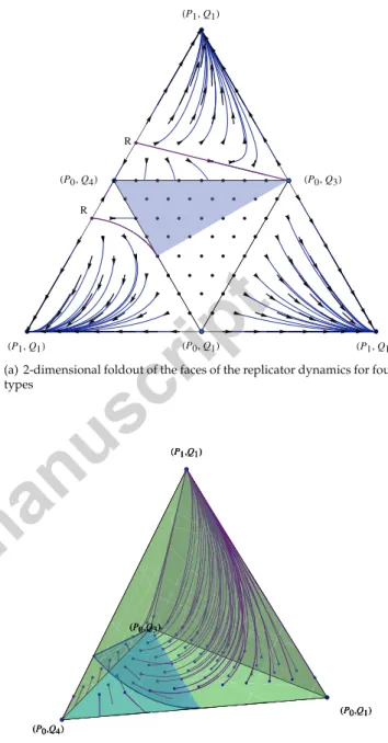 Figure 3: 3(a) A 2-dimensional foldout of the faces of the phase por- por-trait of the replicator dynamics when the 3-type population of Figure 2 is augmented by the fourth type (P 0 , Q 1 )