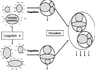 Figure III-2-: Coagulation-floculation. 