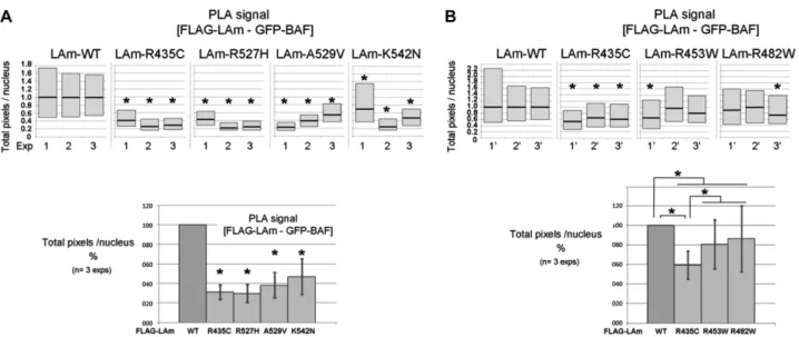 Figure 7. Quantification of the decrease in proximity events between mature lamin A and BAF due to mutations causing either recessive progeroid syn- syn-dromes, EDMD or FPLD