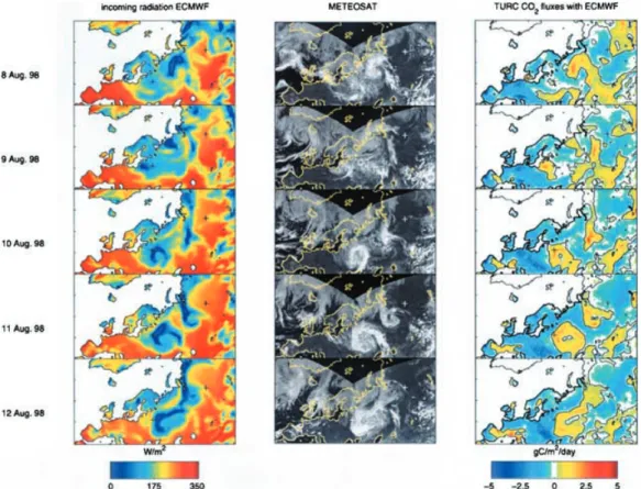 Fig. 3. Sequence of 5 d over the Eurosiberian domain (REMO grid, polar stereographic projection)
