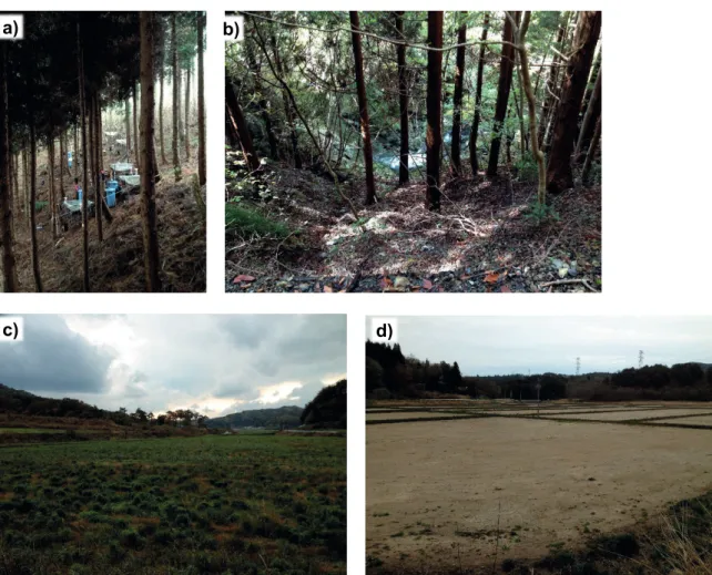 Fig. 4 (a) Evergreen forest with thick and dense litter cover of the soil (as observed in upper parts of the       Mano catchment), (b) broadleaf forest on steep slopes within the Ota catchment, (c) abandoned paddy  field in Mano catchment, and (d) deconta