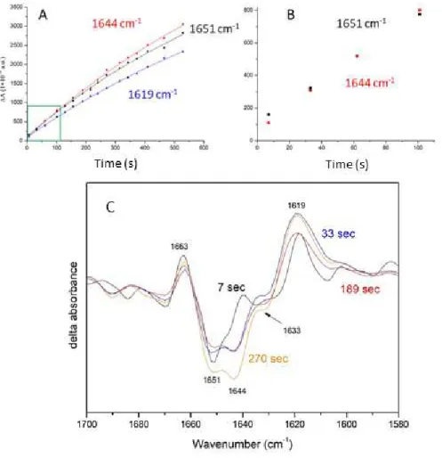 Figure 4. Analysis of time-resolved FTIR spectra at 277 K. (A) Kinetics under illumination at 277 K for key  IR bands