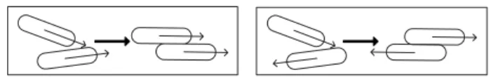FIG. 1: Nematic alignment of polar particles illustrated by inelastic collisions of rods
