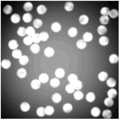 Figure 1: Example of an image containing a collection of objects on a background.