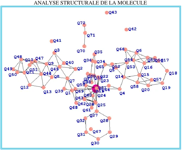 Figure III.3 : Squelette de molécule après résolution de structure. 