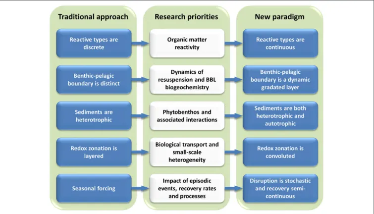 FIGURE 1 | Traditional view of benthic-pelagic coupling and approach to its representation in models (Left), the five cross-disciplinary research priorities that challenge this traditional approach (Middle), and lead to the new paradigm (Right), which is c