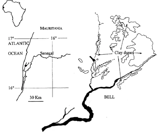 Fig. 1 - Location of the study site in southern Mauritania. 