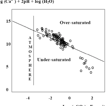 Fig. 5 - Saturation diagram with respect to calcite. 