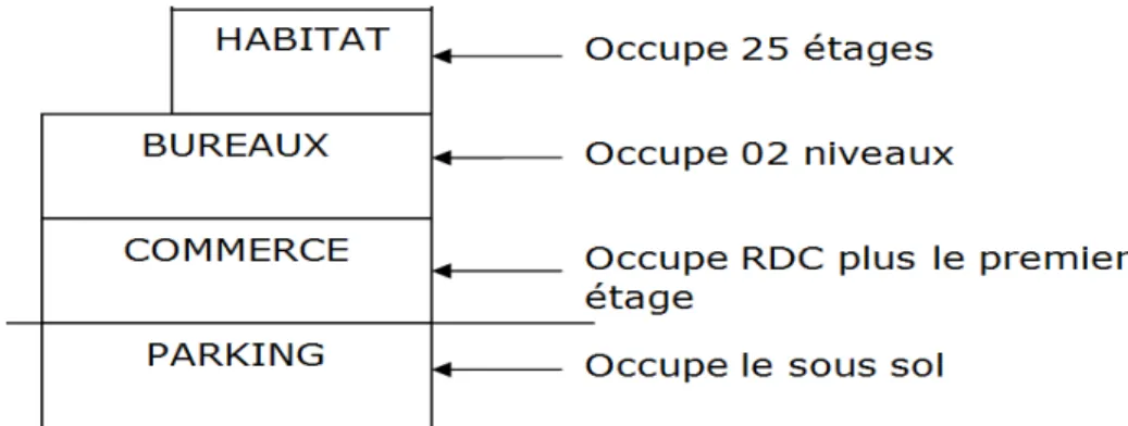 Figure n° 09 : affectation des espaces 