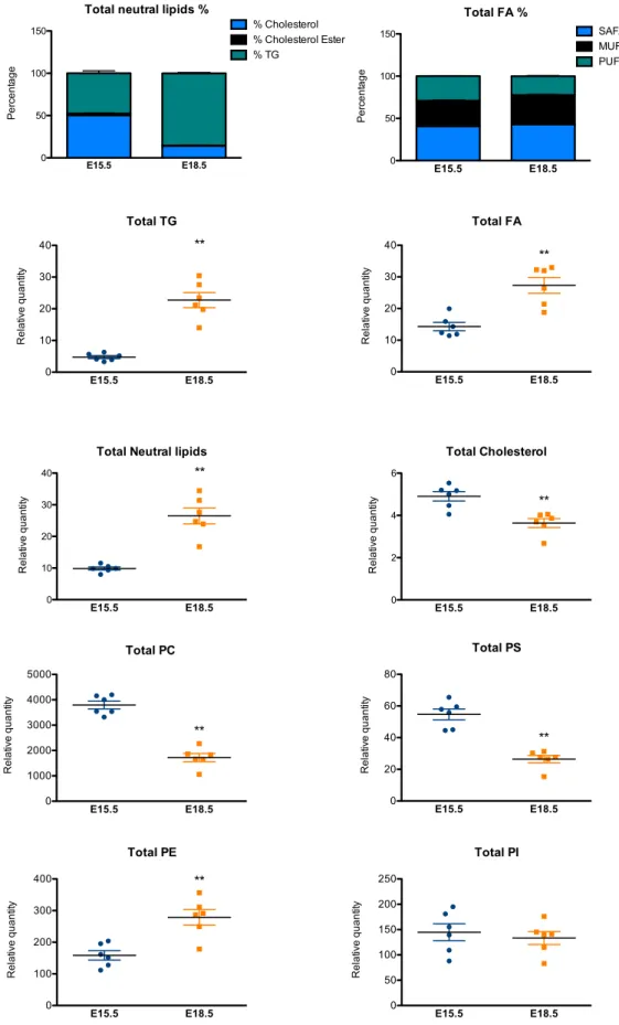 Figure S2. Lipidomic analysis of BAT at E15.5 and E18.5. Related to Figure 2. Lipidomic analysis of BAT at E15.5 and E18.5 (MUFA, MonoUnsaturated Fatty Acids; SAFA, Saturated Fatty Acids; PUFA, Poly Unsaturated Fatty Acids; PE, Phosphatidylethanolamine; PC