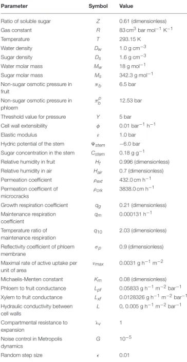 TABLE 2 | Parameter values used for the simulation of nectarine growth.