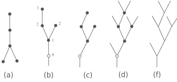 FIG. 1: Construction of plane rooted complete binary tree. (a) a common tree; (b) a rooted tree with its vertex levels; (c) a plane rooted binary tree; (d) a plane rooted complete binary tree; (f) a simplified plane rooted complete binary tree.