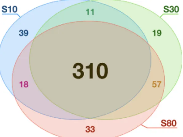 Figure 3. Venn diagram of the highly adsorbed proteins (HAP) on the three silica nanoparticles. This  diagram depicts the number of shared highly adsorbed proteins, in all possible overlapping sets, on  the three silica nanoparticle S10, S30, and S80