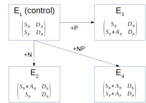 Figure 1. Fertilization experiments. The different experiments (E 1 -E 4 ) vary as function of their supply of N (S N  or S N +A N ) and P (S P  or S P +A P )