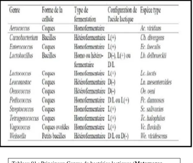 Tableau 01 : Principaux Genres de bactéries lactiques (Matamoros,  2008). 