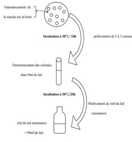 Figure N ° 07:Le protocole à pour la réalisation du pouvoir  acidifiant. 