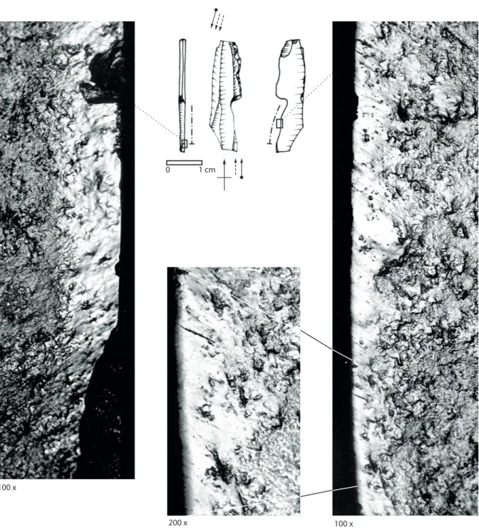 Figure 3 - auriac P iV, i23-359. silex blond. 