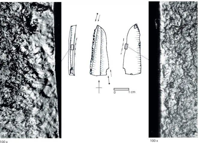 Figure 5 - auriac P iV, h21-184. raclage de végétaux tendres rigides ; face d’attaque : pan du burin ; face en dépouille : face  inférieure
