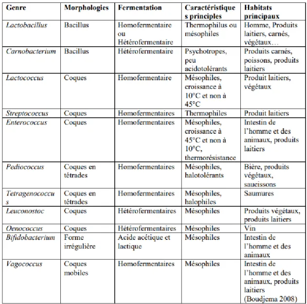 Tableau  02  :  Les  différents  genres  de  bactéries  lactiques  d’intérêt  en  microbiologie  des  aliments et leurs principales caractéristiques (Federighi M, 2005)