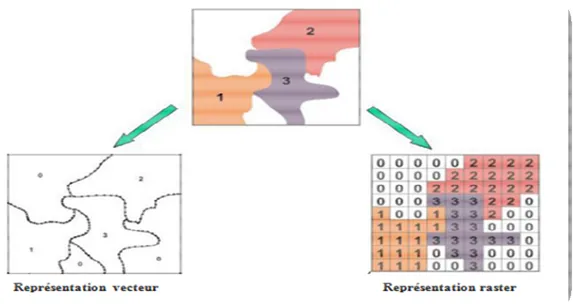 Figure 3 : Modes de représentations d’un SIG. 