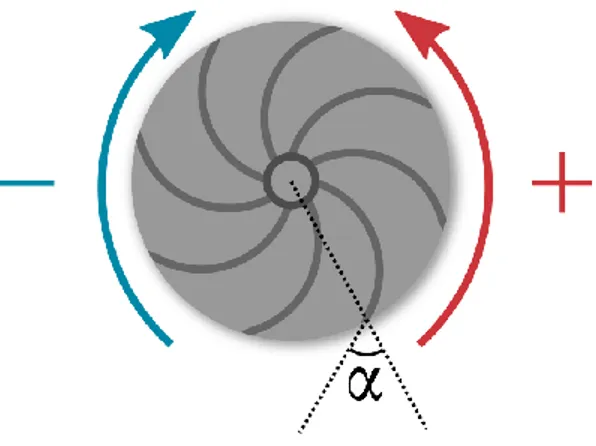 FIG. 1: Illustration of a TP87 type impeller, with 8 blades. The convention used to name the two different forcing conditions is represented: (+) when the convex face of the blade goes forward, (-) for the other