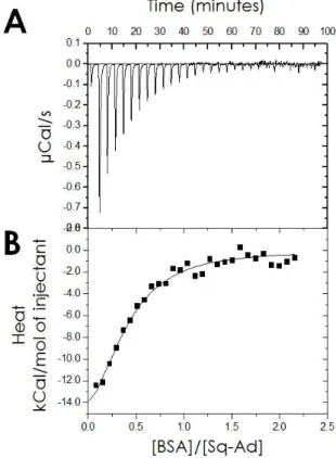 Figure  7:  Isothermal  Titration  Calorimetry  of  BSA  injected  in  SQAd  nanoparticles  dispersion  in  water