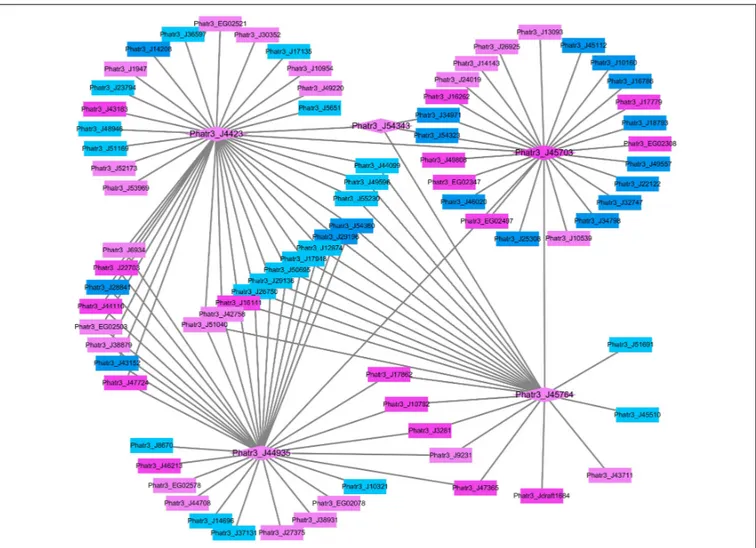 FIGURE 3 | The network of differentially expressed histone modification genes and their correlated differentially expressed mRNAs under the HC relative to the LC conditions after growing for 15 generations